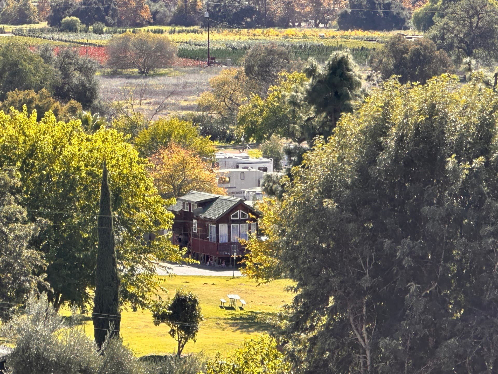 Aerial view of cabin and vineyard at Rancho Corrido Park
